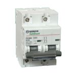 MCB 2P 125A 10KA PS100H/2/D125